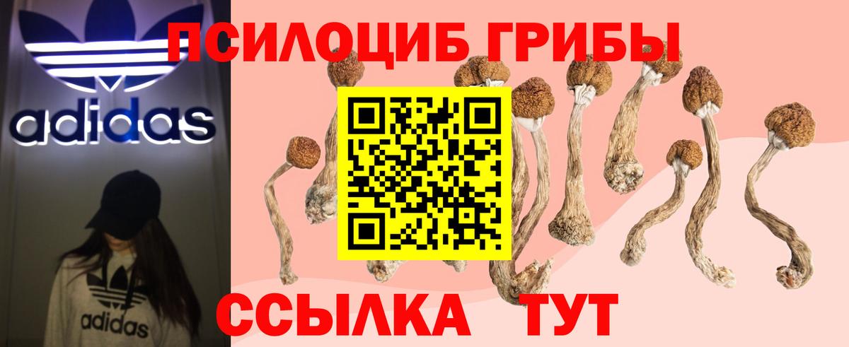 Псилоцибиновые грибы прущие грибы Иркутск